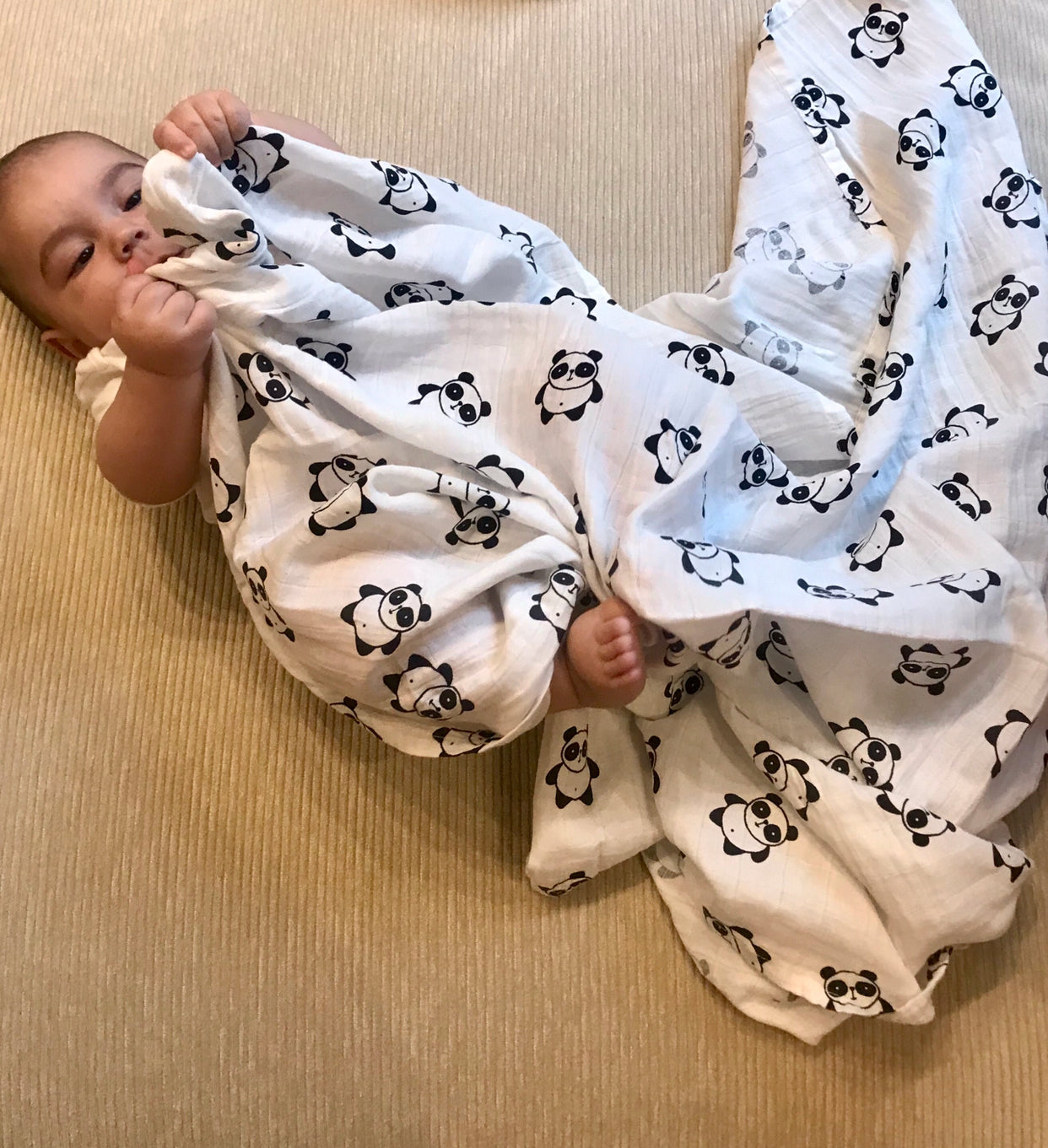Panda Swaddle Blanket