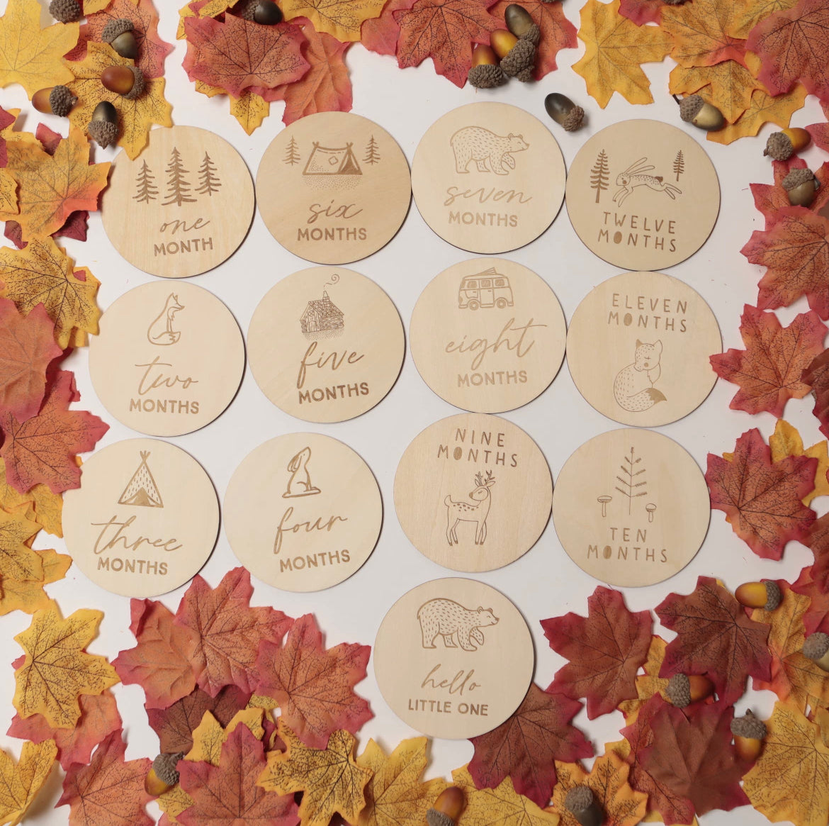 Birth Announcement Disc